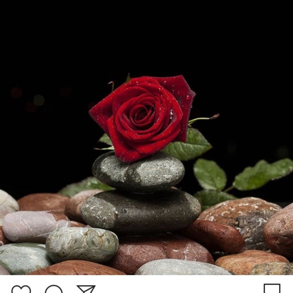 Meet your Posher, Jacqueline